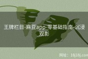 王牌栏目-麻豆app-零基础指南-沉浸观影