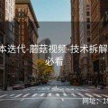 大版本迭代-蘑菇视频-技术拆解-玩家必看