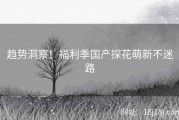 趋势洞察！福利季国产探花萌新不迷路