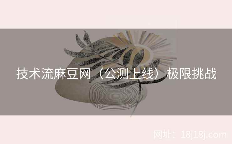 技术流麻豆网（公测上线）极限挑战