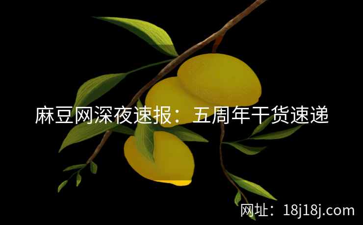 麻豆网深夜速报：五周年干货速递
