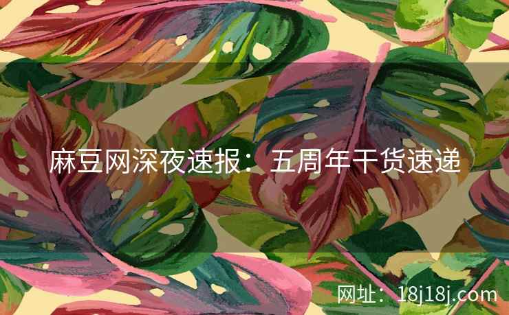 麻豆网深夜速报：五周年干货速递