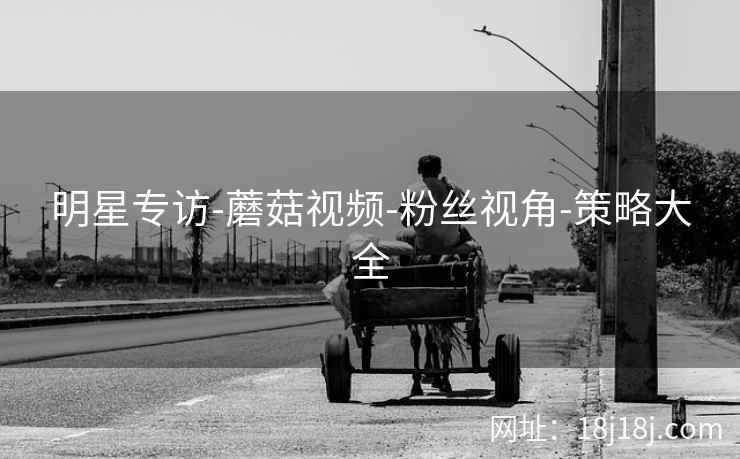 明星专访-蘑菇视频-粉丝视角-策略大全