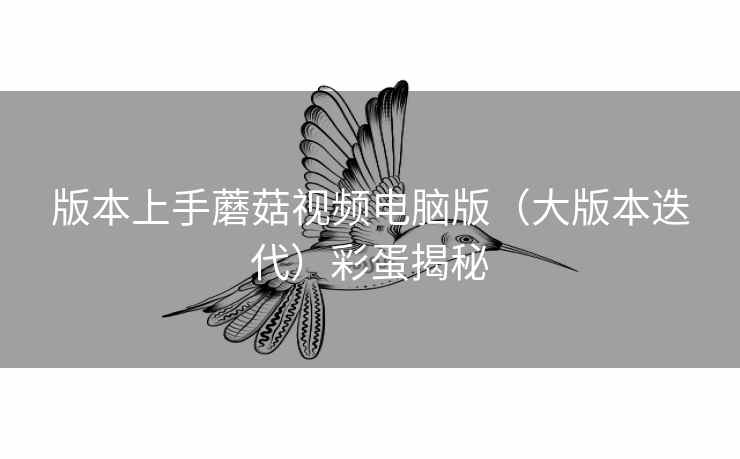 版本上手蘑菇视频电脑版（大版本迭代）彩蛋揭秘