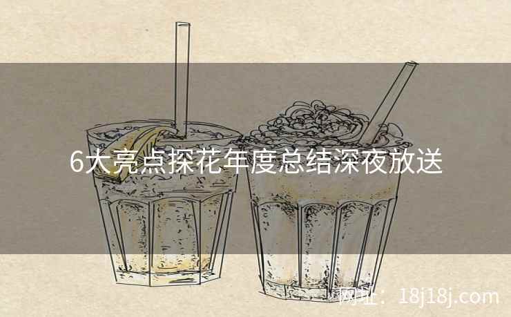 6大亮点探花年度总结深夜放送